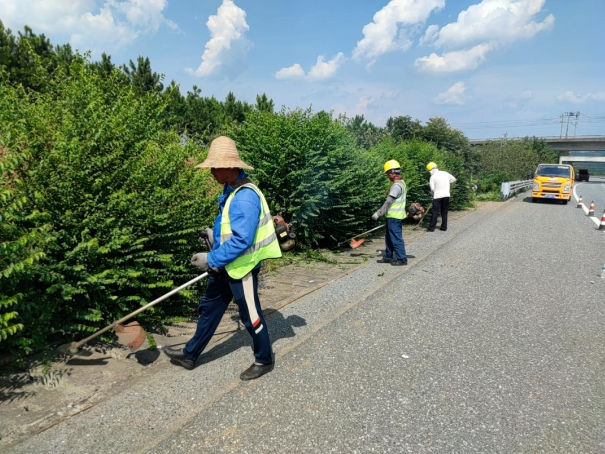 1756345470204334.png image.png