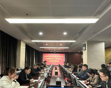 华体会(中国)召开集团管控 及人力资源优化咨询项目启动会
